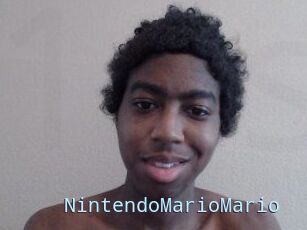 NintendoMarioMario
