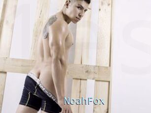 NoahFox