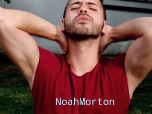 NoahMorton