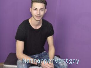 Nathanpervertgay