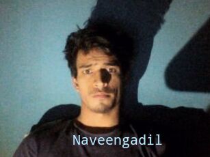 Naveengadil