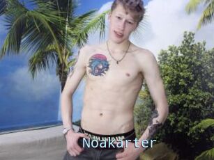Noakarter