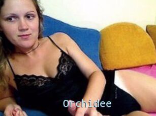 Orchidee