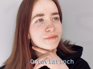 Octaviafinch