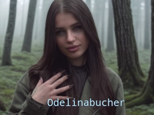 Odelinabucher