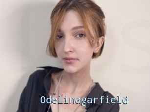 Odelinagarfield