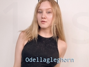 Odellagleghorn