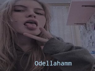 Odellahamm