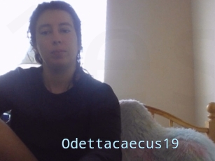 Odettacaecus19