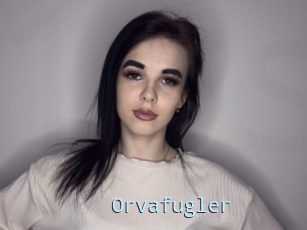 Orvafugler