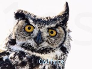 Owlface