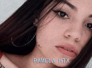 PAMELA_HTX