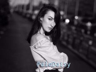 PaleDaisy