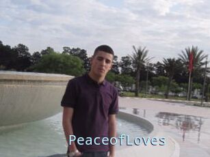 PeaceofLoves