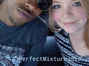 PerfectMixture3828