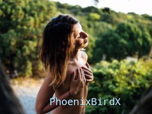 PhoenixBirdX