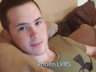 PhoenixMS