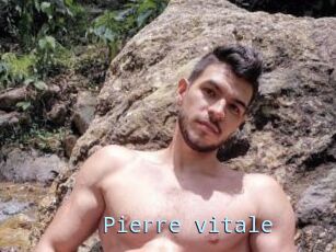 Pierre_vitale