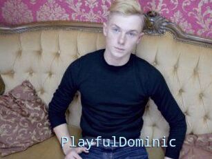 Playful_Dominic