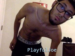 PlayfulJoe