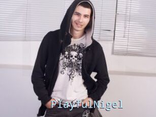 PlayfulNigel