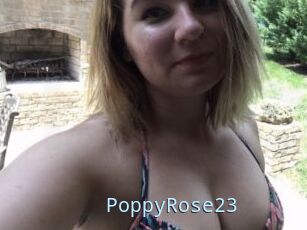 PoppyRose23