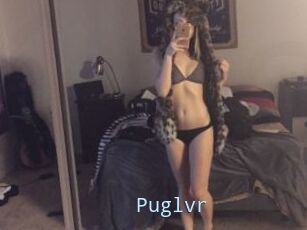 Puglvr