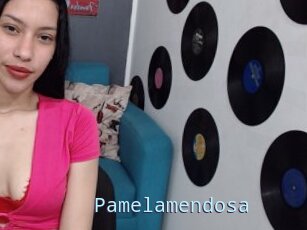 Pamelamendosa