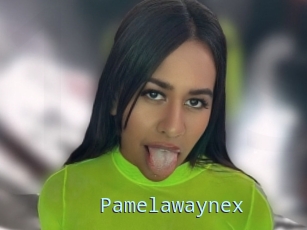 Pamelawaynex