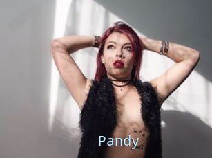 Pandy