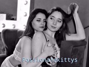 Passionatekittys