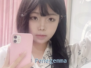 Penegemma