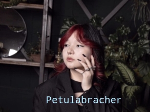 Petulabracher