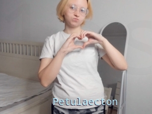 Petulaecton