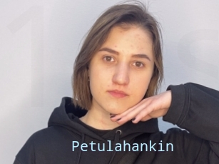 Petulahankin