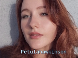 Petulahawkinson