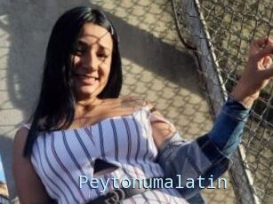 Peytonumalatin