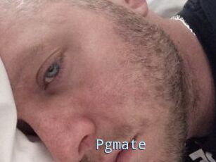 Pgmate