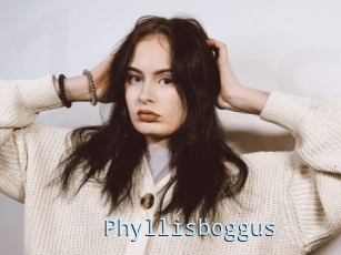 Phyllisboggus