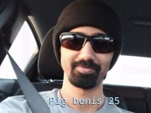 Pig_benis_25