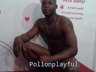 Pollonplayful