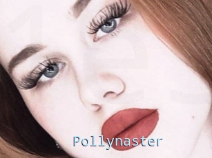 Pollynaster
