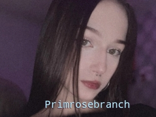 Primrosebranch