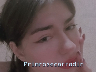 Primrosecarradin