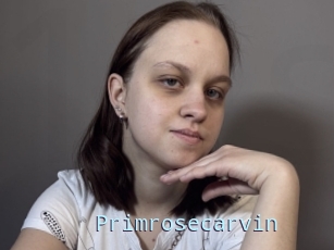 Primrosecarvin