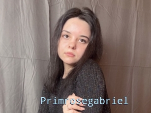 Primrosegabriel