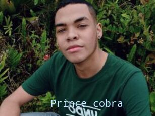 Prince_cobra