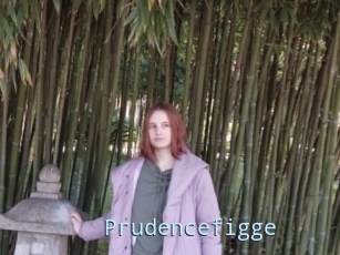 Prudencefigge