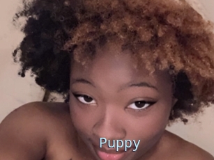 Puppy
