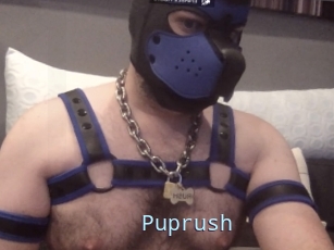 Puprush